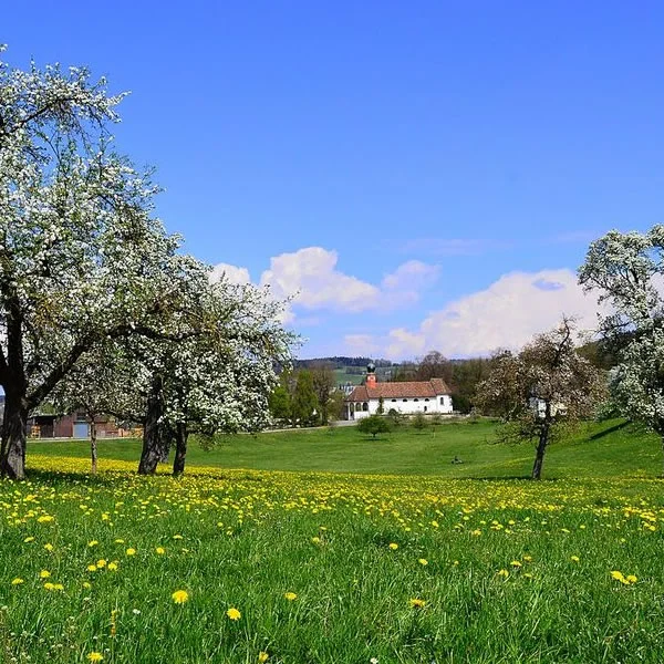Corso di lingua per le vacanze di primavera a Basilea
