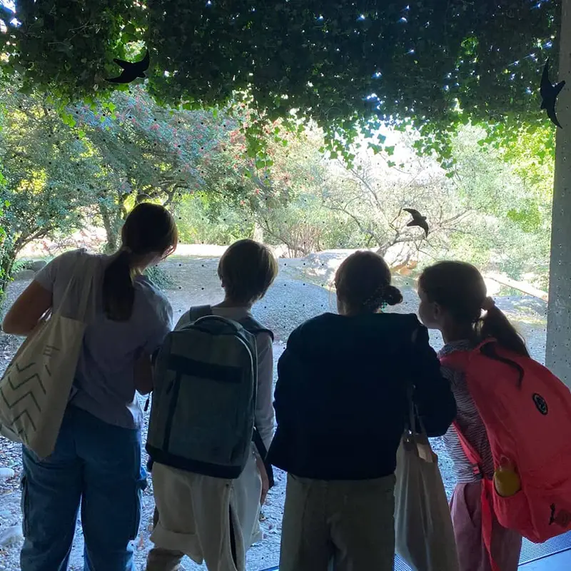 kids-and-teens-feriensprachkurse-sprachkurse-in-den-ferien-8