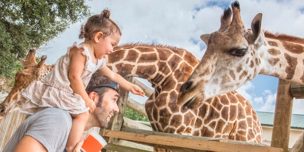 ils-event-images-ausflug-tierpark-lange-erlen