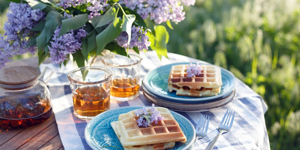 ils-event-images-frühlingspicknick-brunch